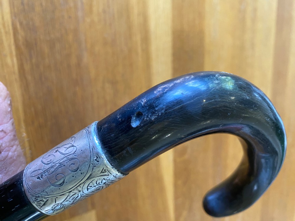 Walking stick horn handle hallmarked collar View VII