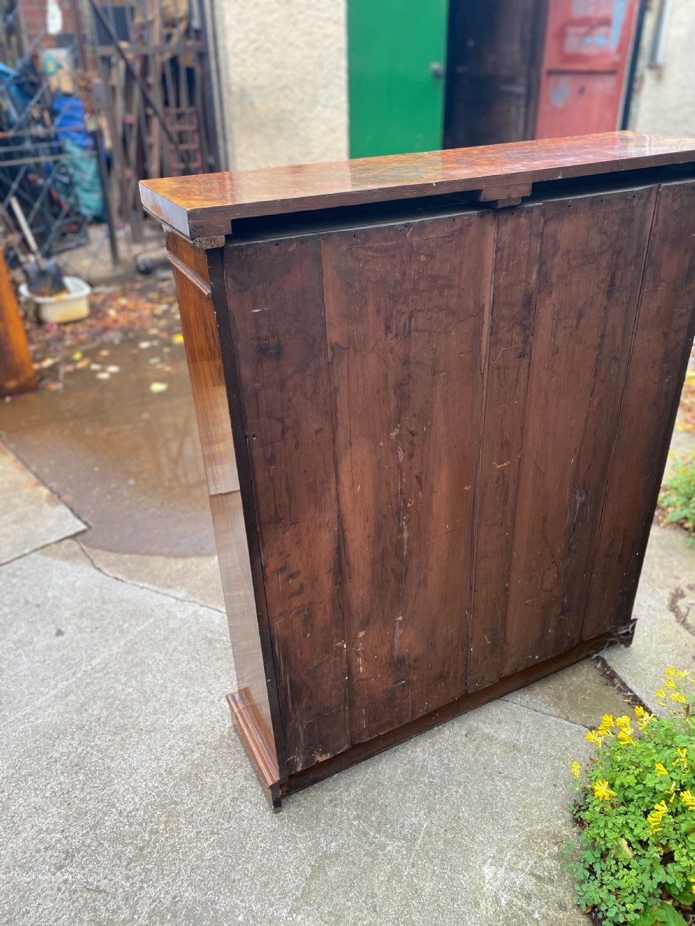 C19th burr walnut small bookcase  View II