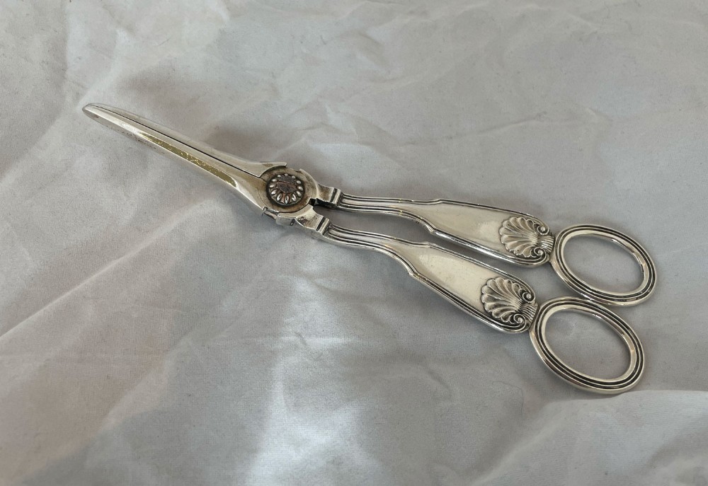 A pair of silver grape scissors featuring decorative shell motifs on the fiddle-shaped handles and circular finger loops.