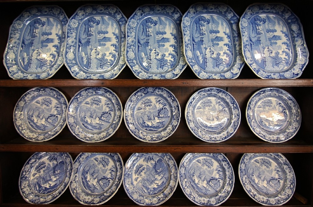 19TH CENTURY RARE PATTERN WILD ROSE PLATES  BY P, W & Co.