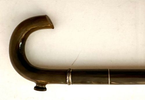 Walking Stick Made Completely from Horn