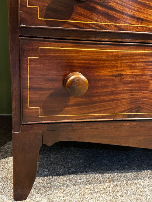 REGENCY SCOTCH CHEST IN MAHOGANY - ADDITIONAL PHOTO 7