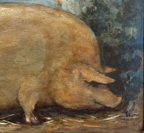 fig 2. Oil of Prize Pig on Oak Panel