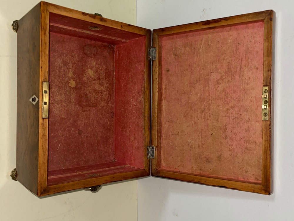 Regency Root Walnut box  View II