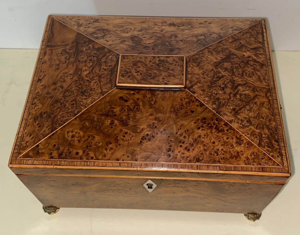 Regency Root Walnut box  View III