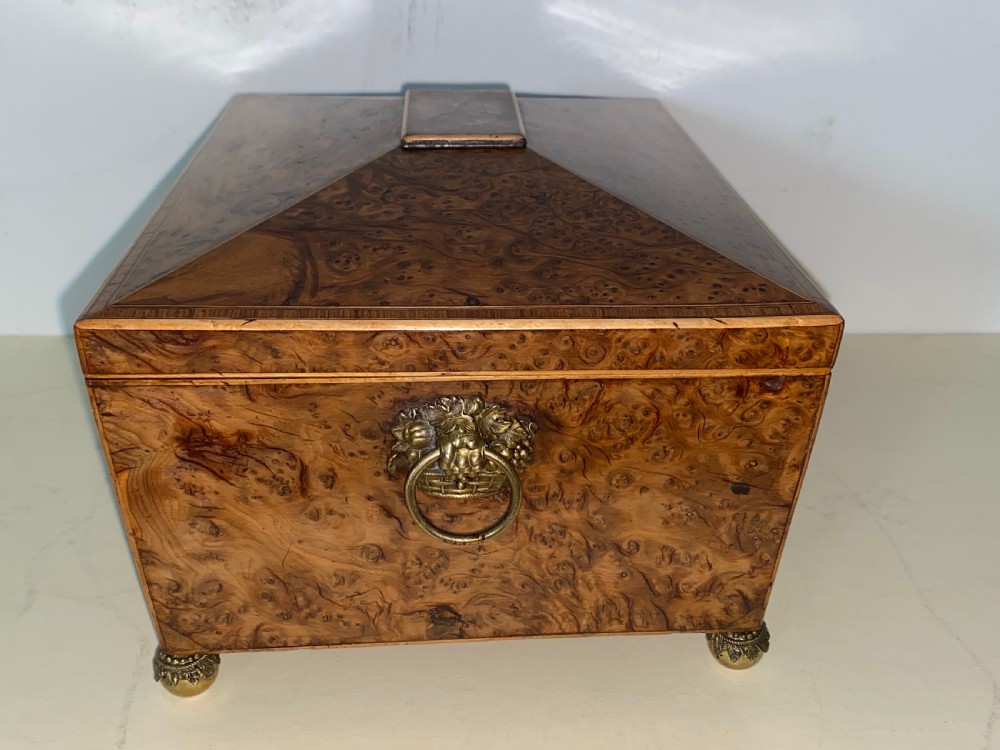 Regency Root Walnut box  View IV