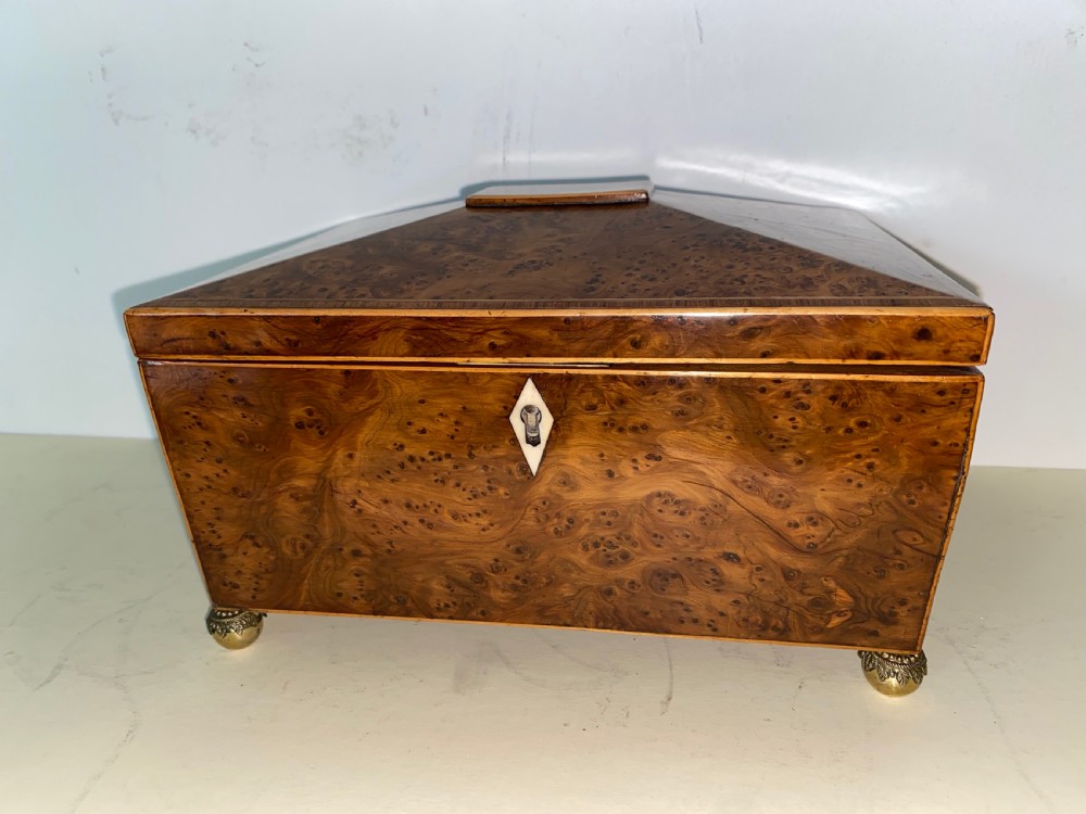 Regency Root Walnut box  View V