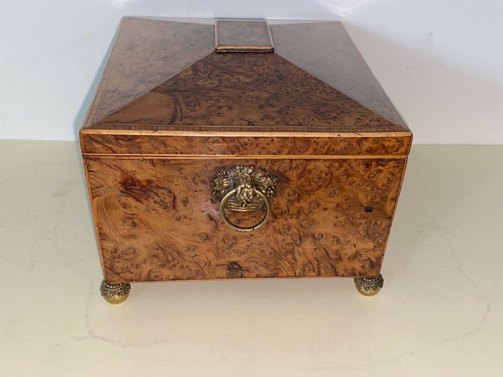 Regency Root Walnut box  View VI