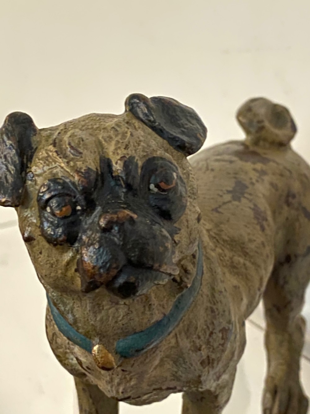 An antique cold-painted bronze desk inkwell designed in the realistic form of a standing pug dog with a blue collar. View III