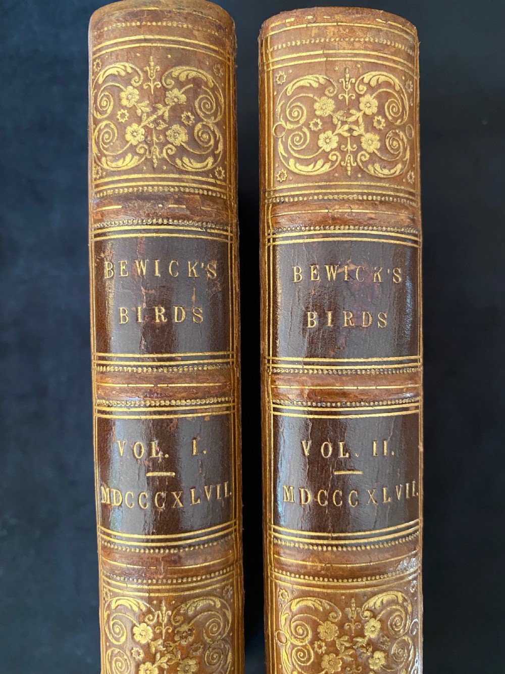 A two-volume set of tan leather-bound antique books titled Bewicks Birds with elaborate gold gilt tooling on the spines. View IV