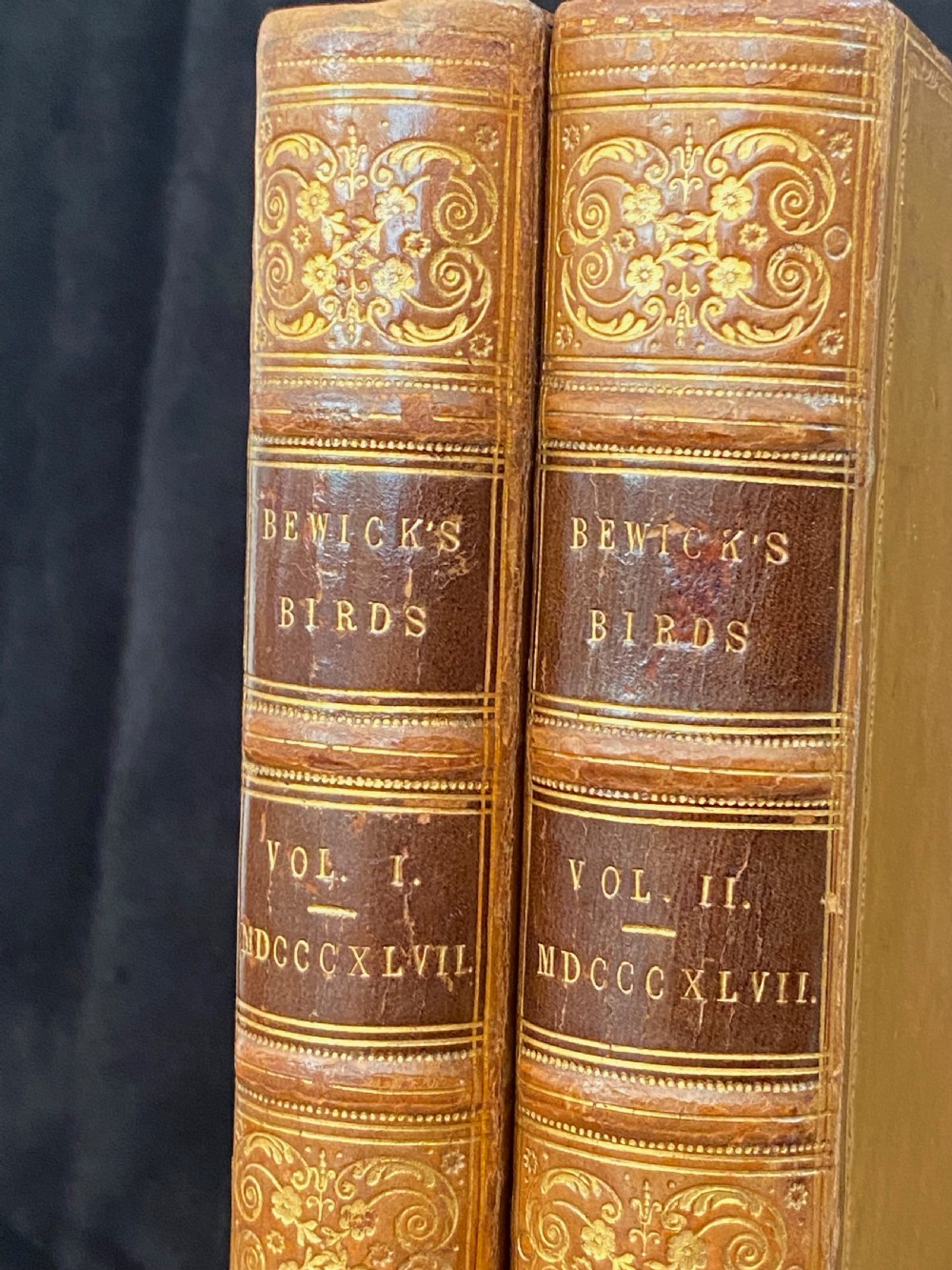 A two-volume set of tan leather-bound antique books titled Bewicks Birds with elaborate gold gilt tooling on the spines. View II