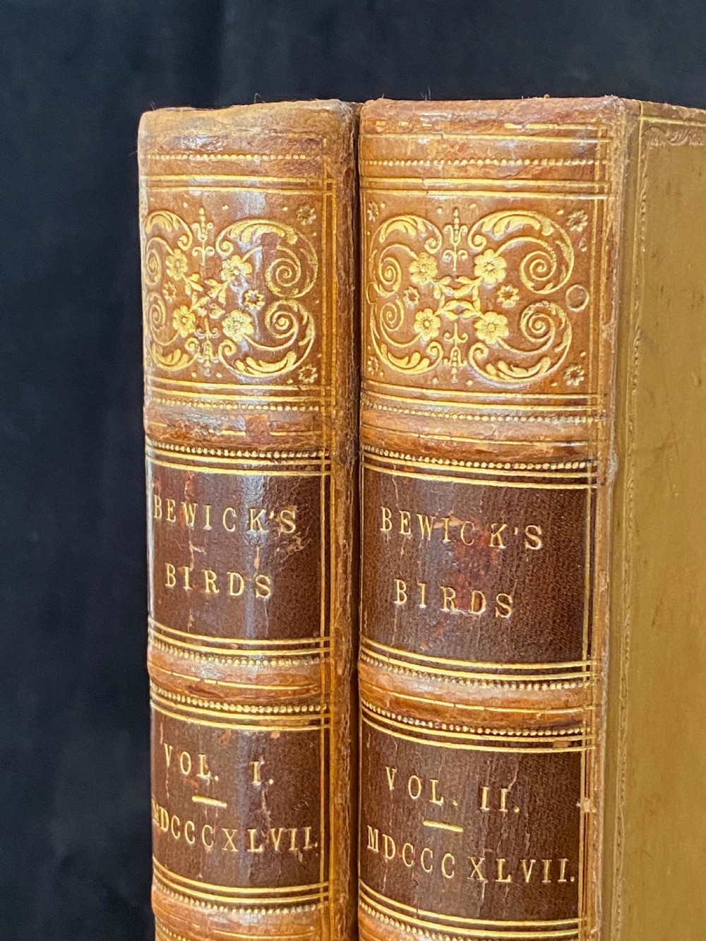 A two-volume set of tan leather-bound antique books titled Bewicks Birds with elaborate gold gilt tooling on the spines. View III