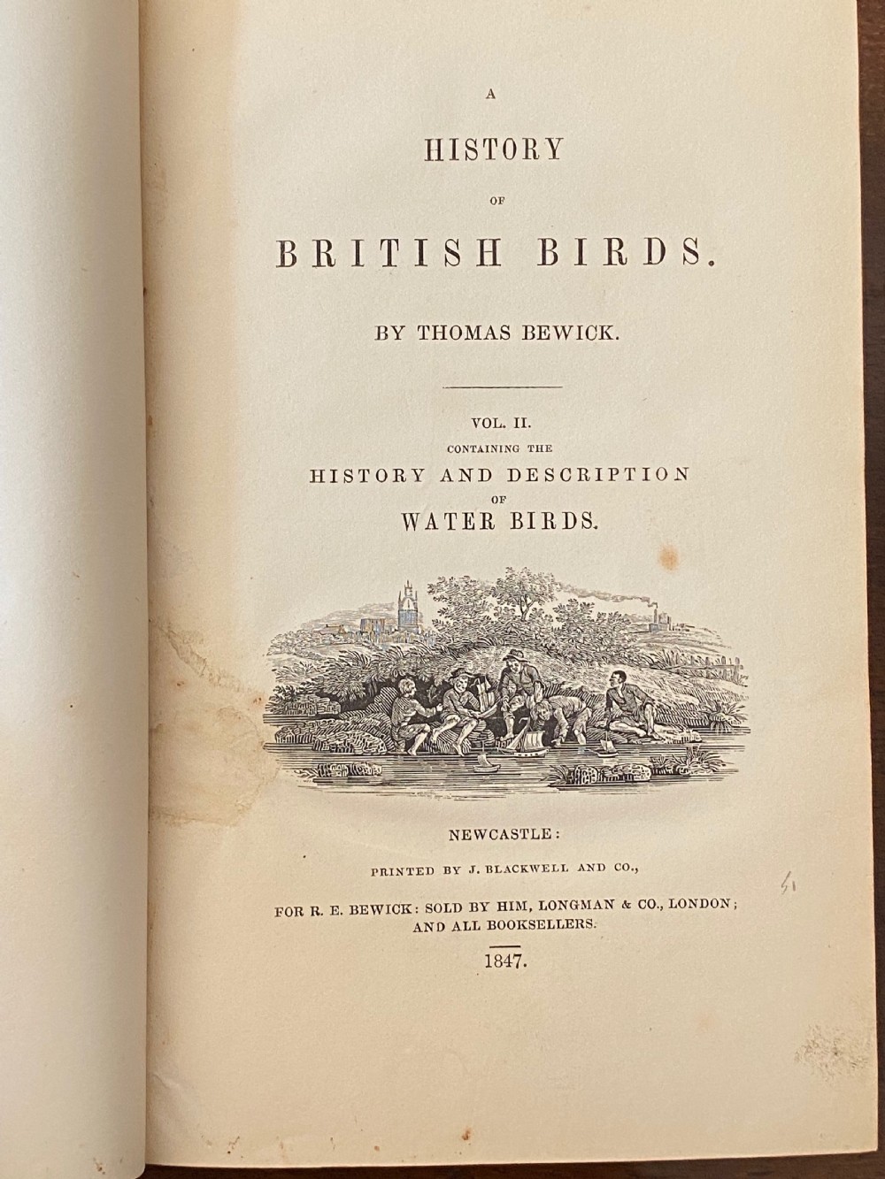 A two-volume set of tan leather-bound antique books titled Bewicks Birds with elaborate gold gilt tooling on the spines. View VI