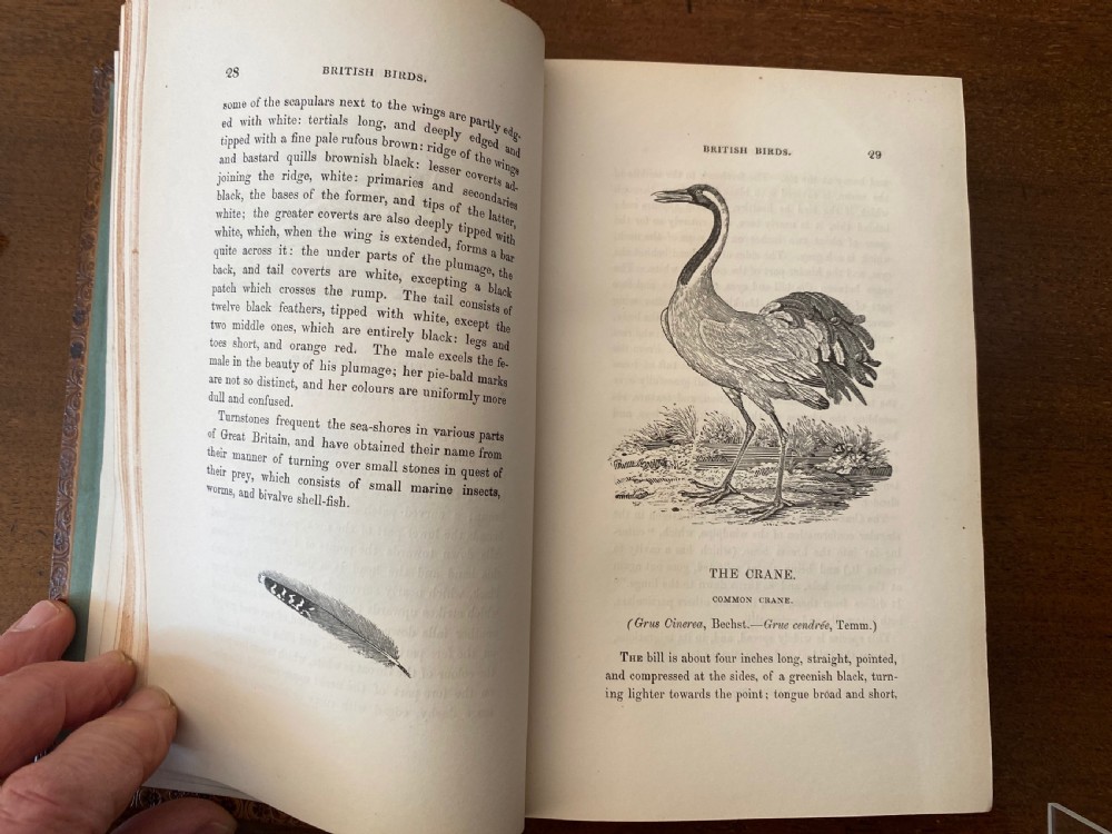 A two-volume set of tan leather-bound antique books titled Bewicks Birds with elaborate gold gilt tooling on the spines. View VIII