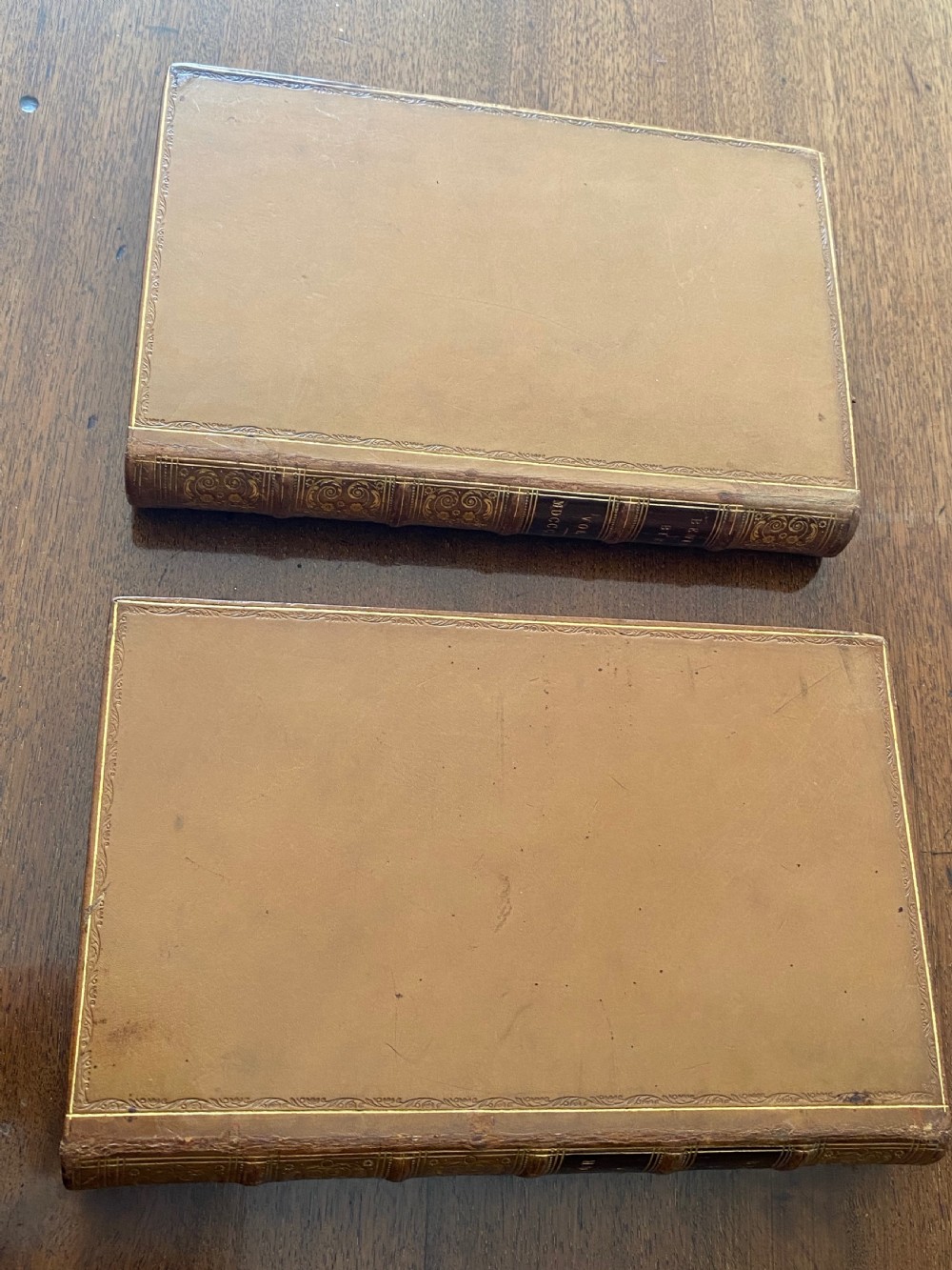 A two-volume set of tan leather-bound antique books titled Bewicks Birds with elaborate gold gilt tooling on the spines. View X