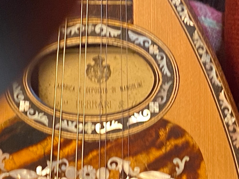Italian Mandolin late 19th Century View XI