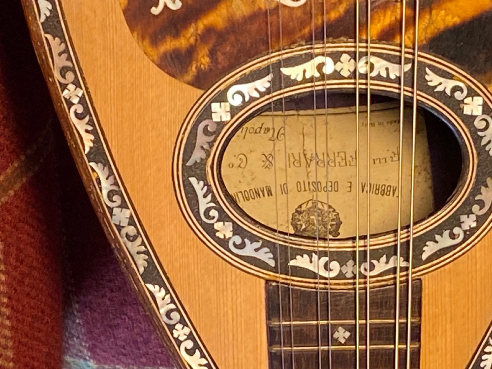 Italian Mandolin late 19th Century View XIV