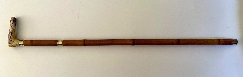Sword Stick, William IV View VIII
