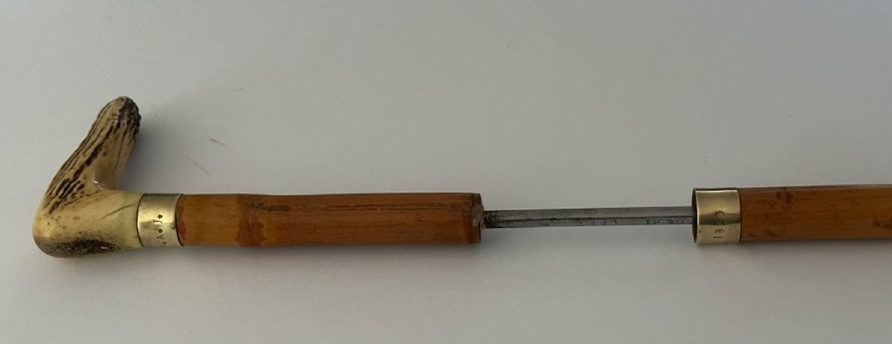 Sword Stick, William IV View IV