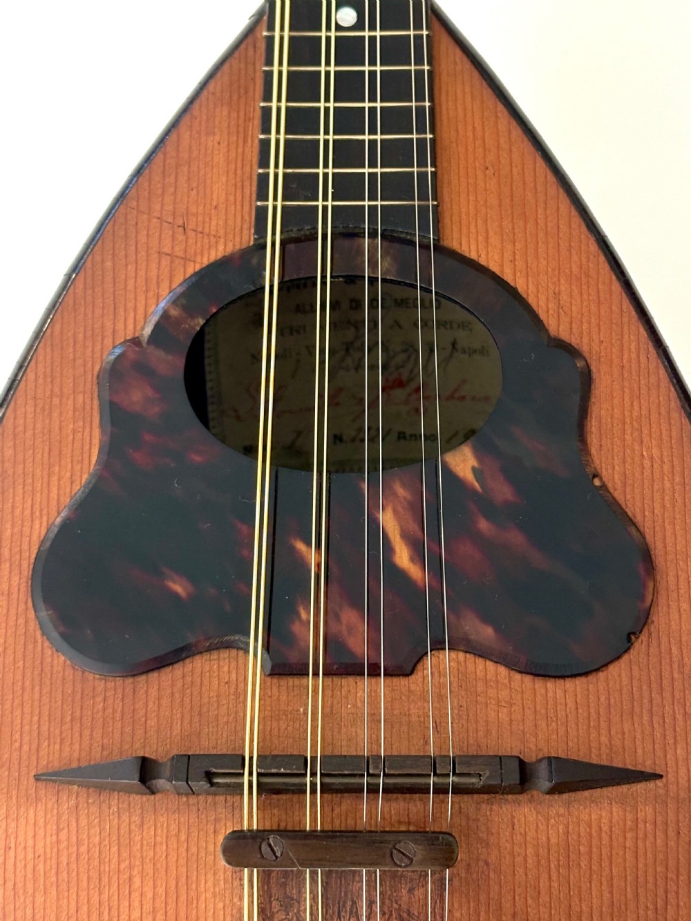 Italian Mandolin View IV