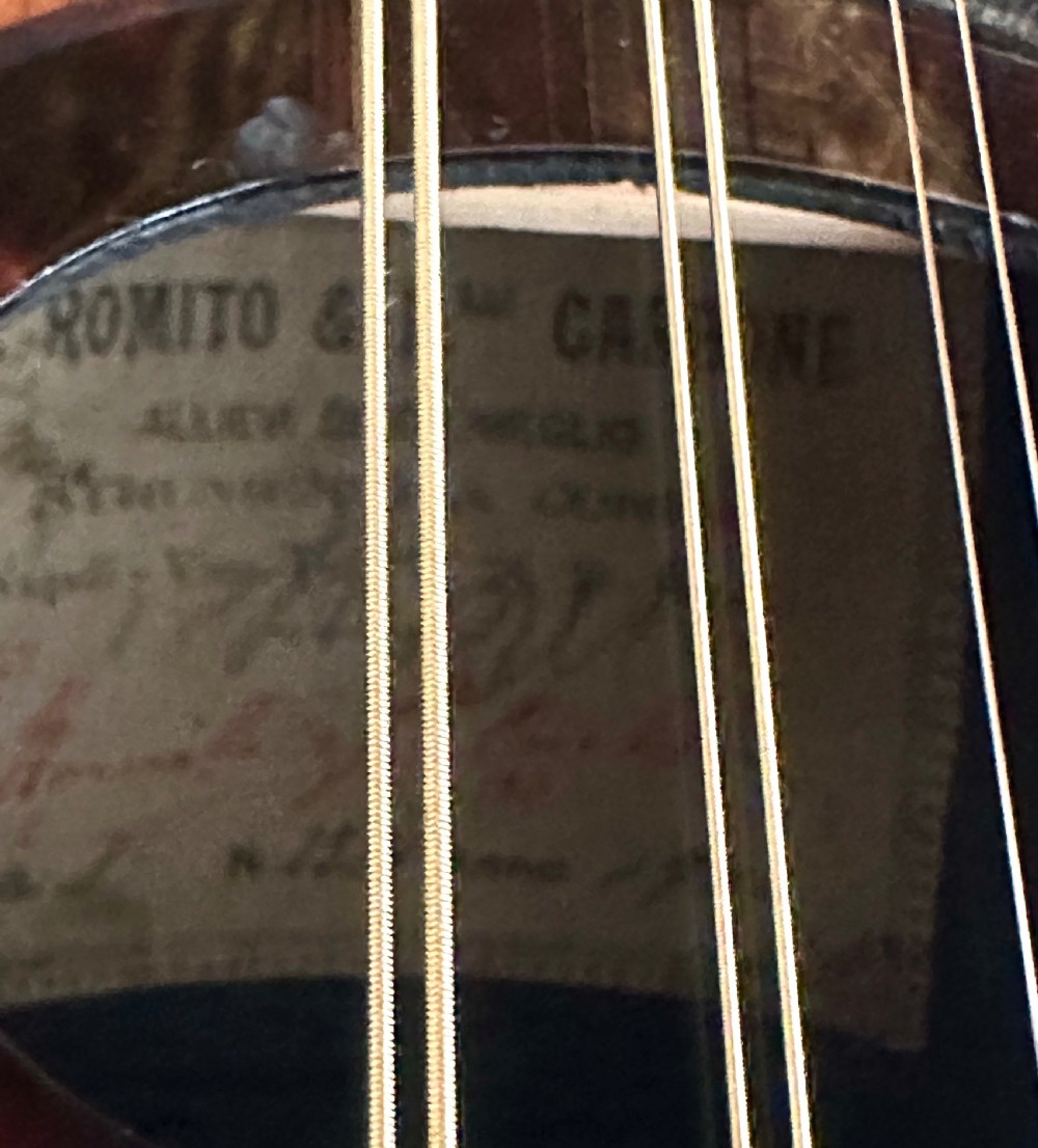 Italian Mandolin View IX