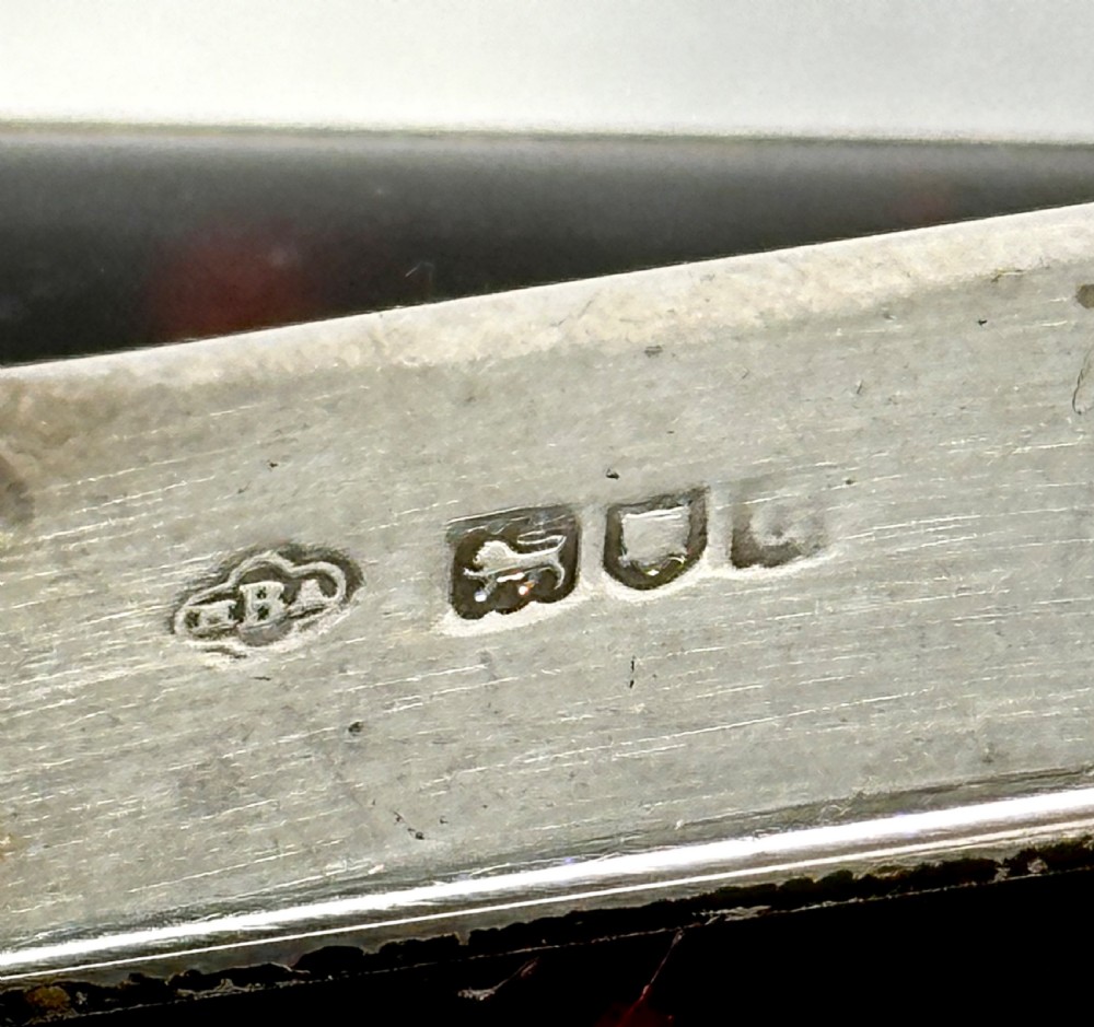 Silver and Tortoiseshell Desk Clip View IX