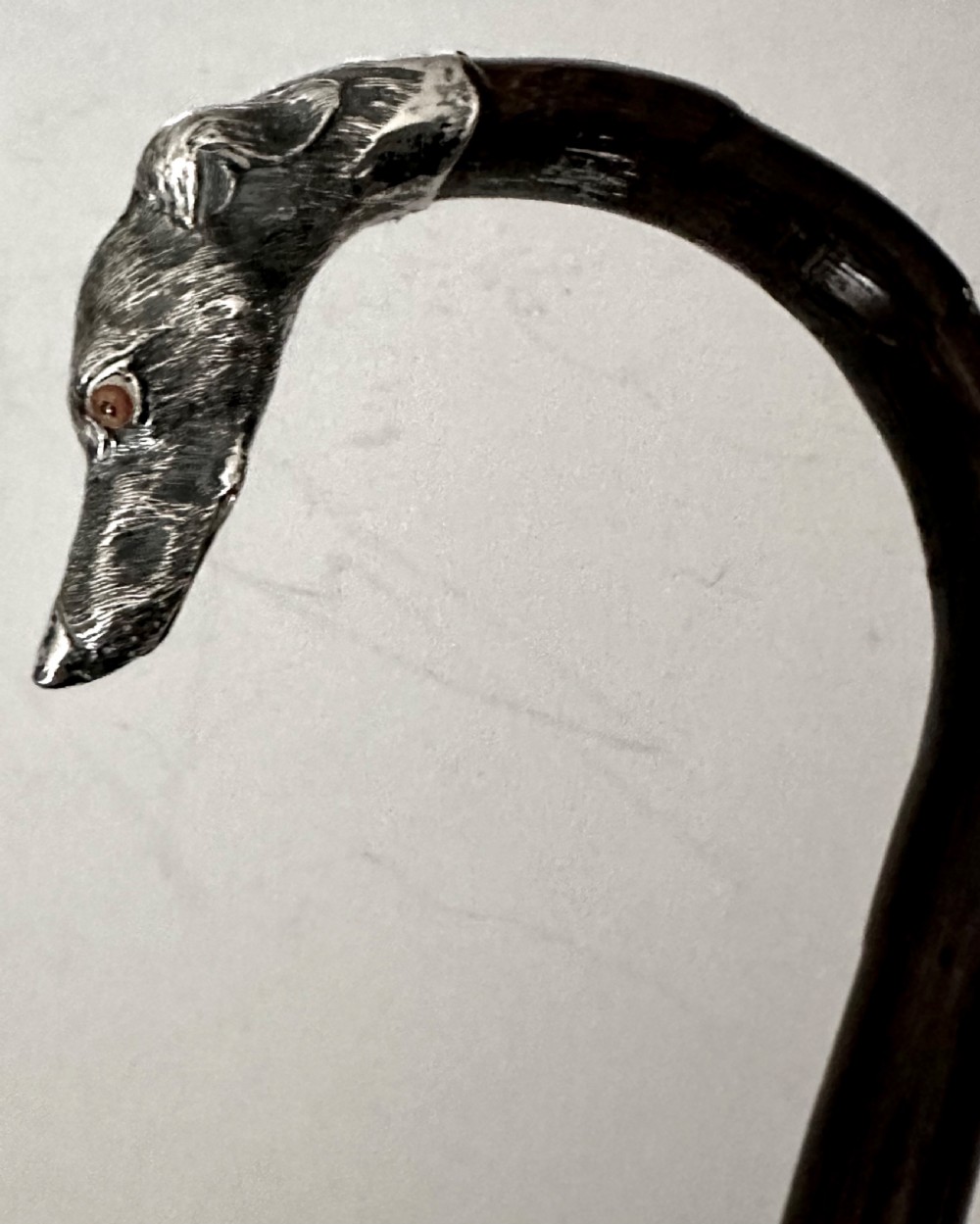 Walking Cane with Greyhound Handle in Silver View IV