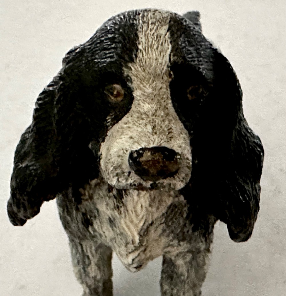 Pair of Cold Painted Bronze Spaniels View VIII