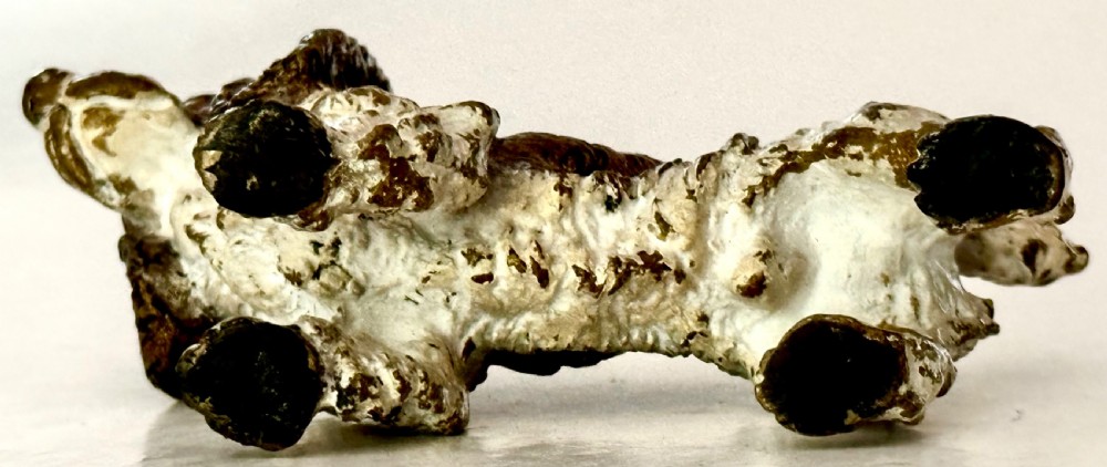 Pair of Cold Painted Bronze Spaniels View XVI