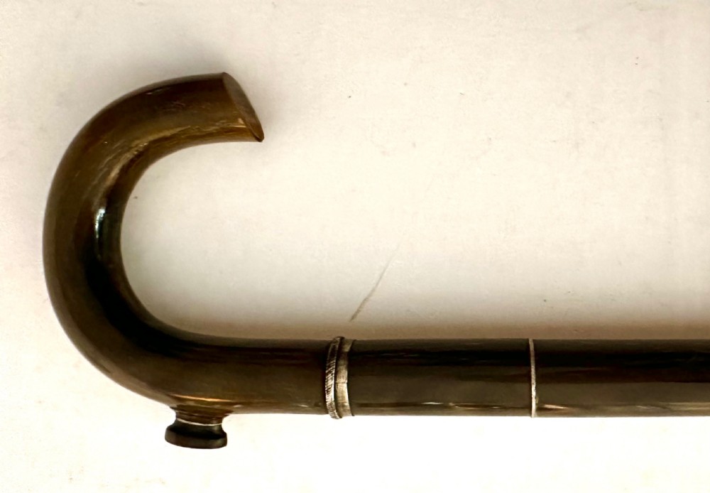 Walking Stick Made Completely from Horn