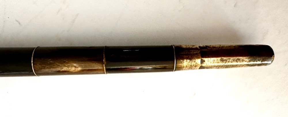 Walking Stick Made Completely from Horn View III