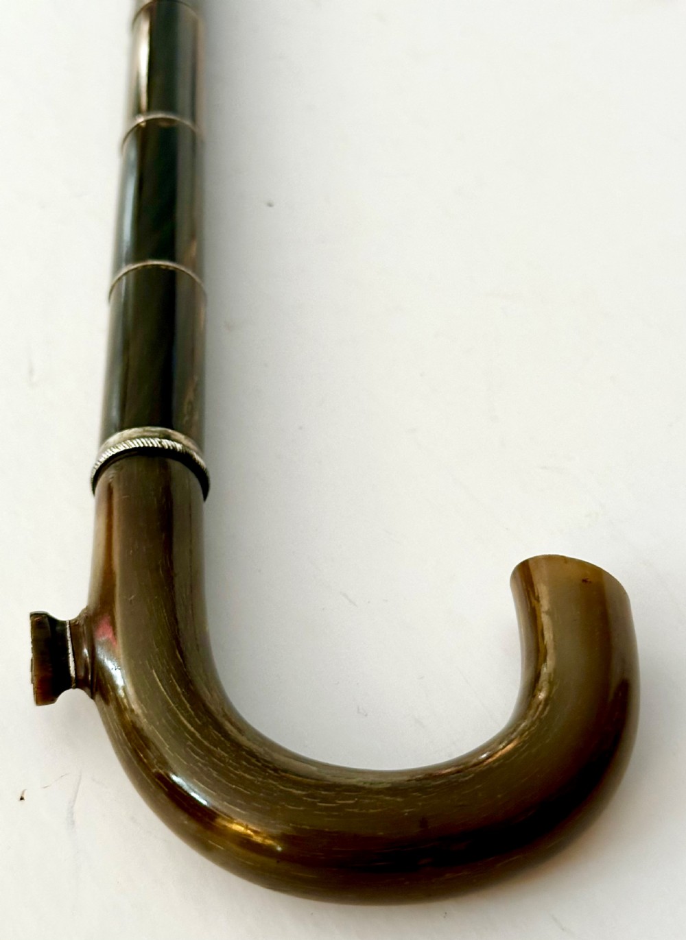 Walking Stick Made Completely from Horn View IV