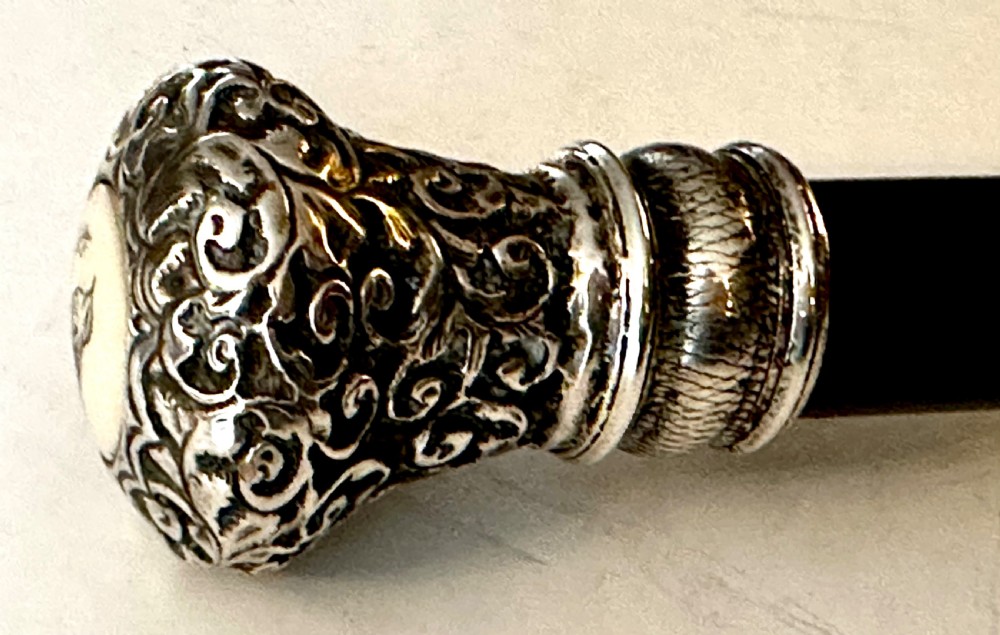 Ebony Walking Cane with Sliver Pommel View V