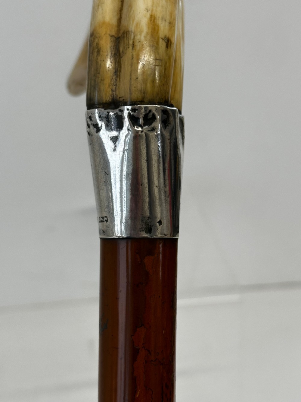 Walking Stick with Horn Handle and Silver Collar View II