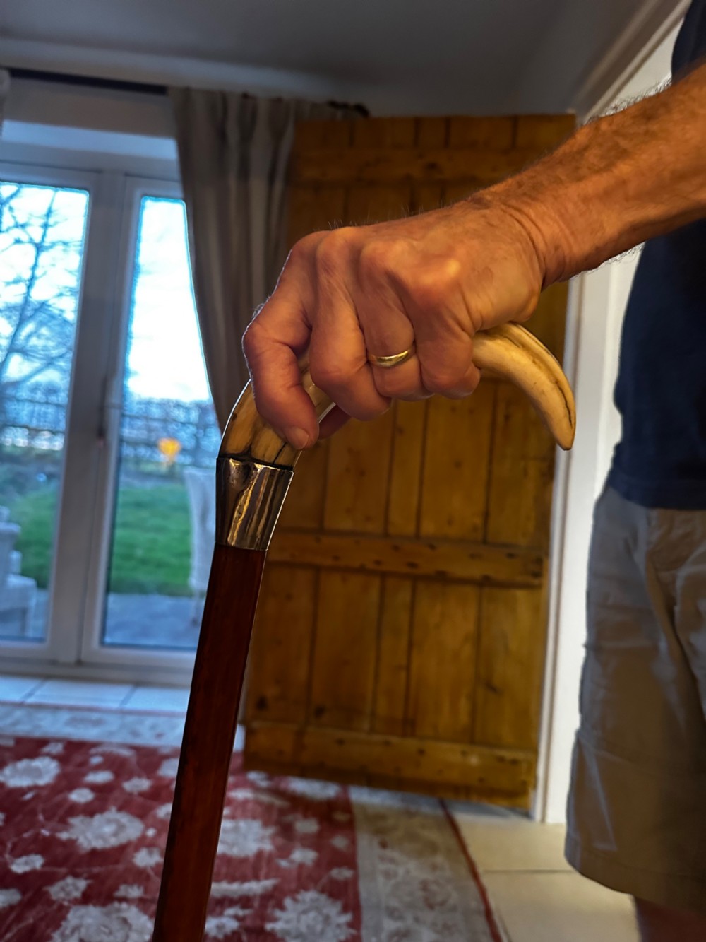 Walking Stick with Horn Handle and Silver Collar View VII