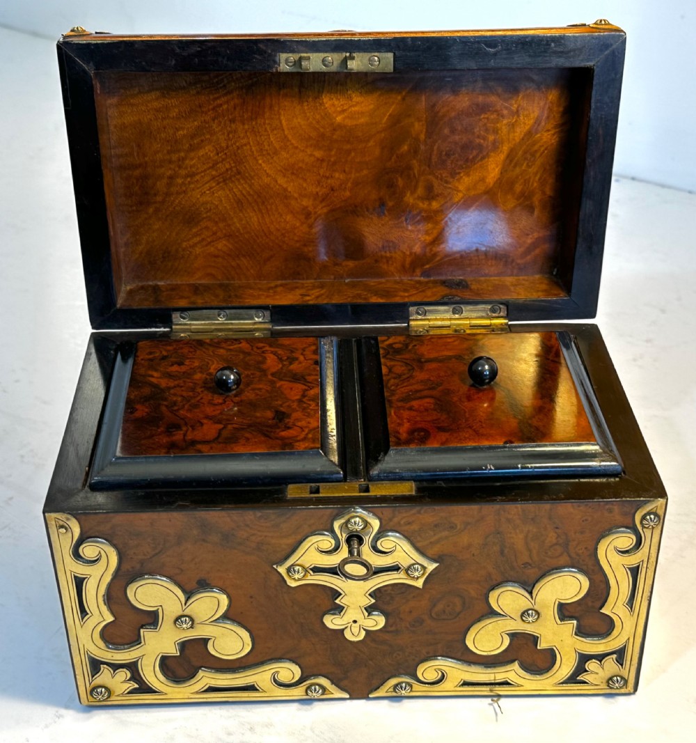 Tea Caddy in Walnut  View IV