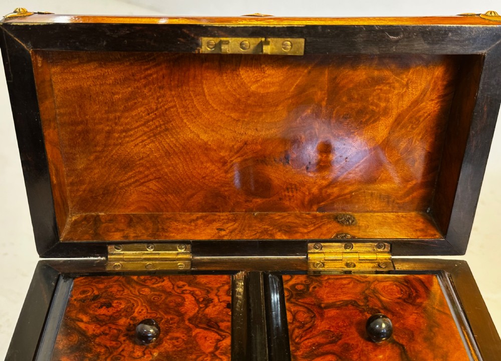 Tea Caddy in Walnut  View VI