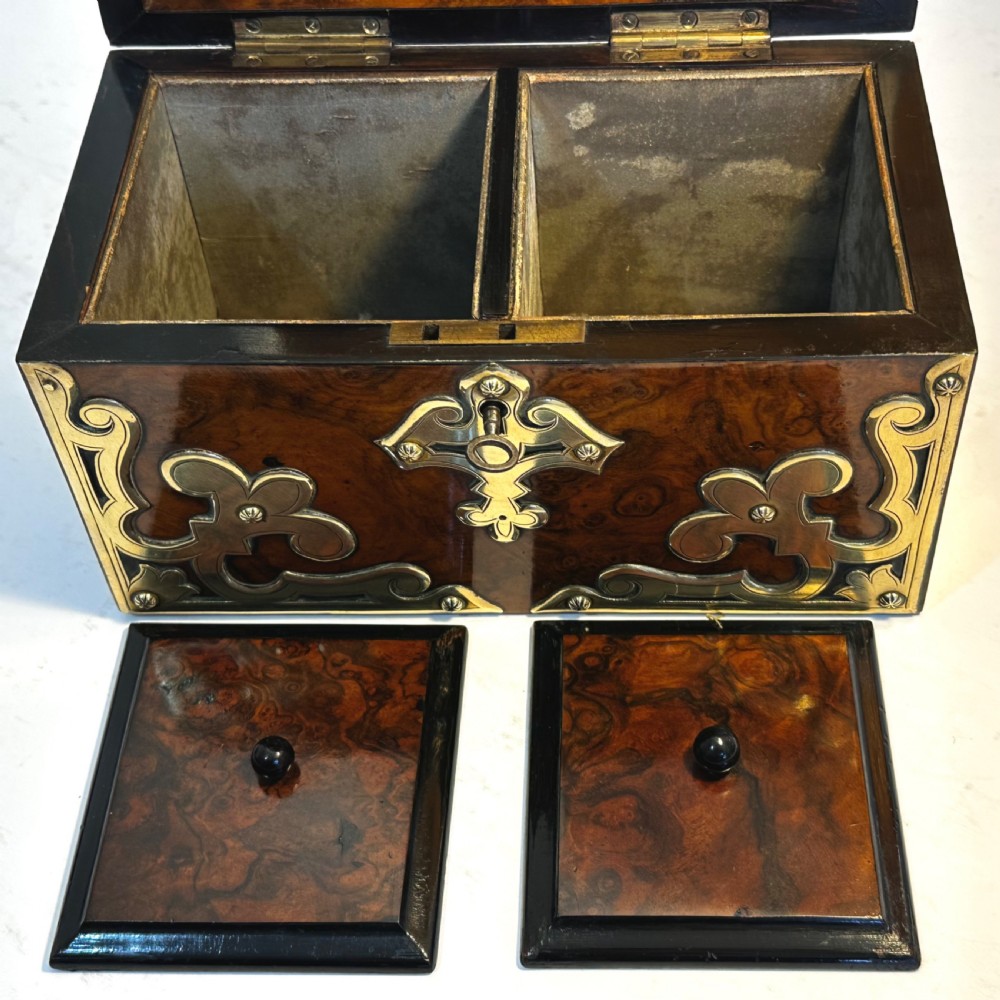 Tea Caddy in Walnut  View VII