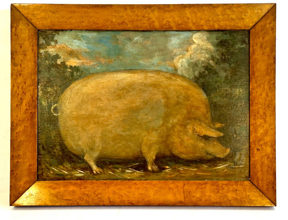 Oil of Prize Pig on Oak Panel