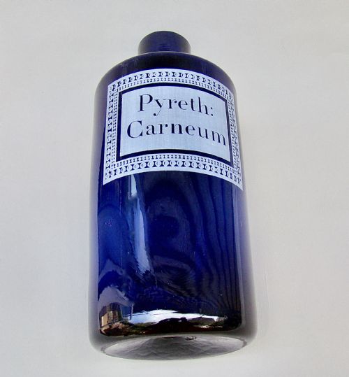 fig 2. FABULOUS LARGE 19TH CENTURY FRENCH ETCHED BRISTOL BLUE GLASS APOTHECARY JAR, CIRCA 1890