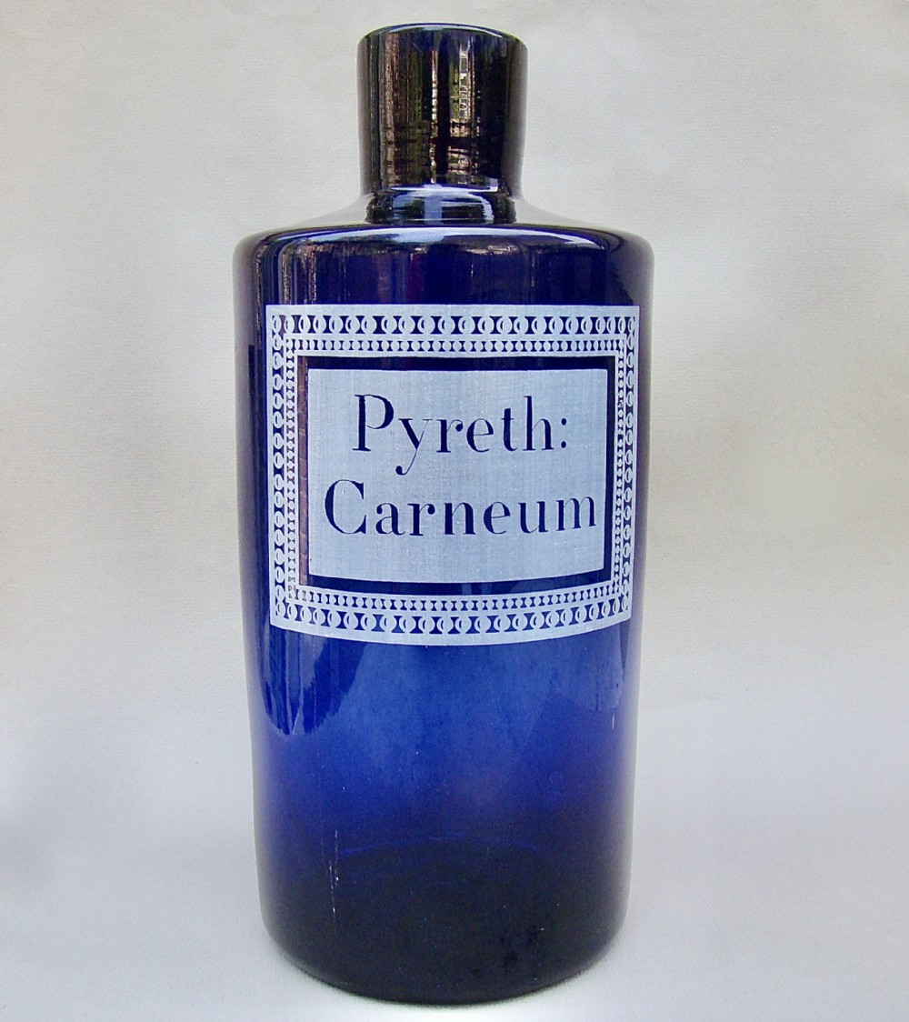 FABULOUS LARGE 19TH CENTURY FRENCH ETCHED BRISTOL BLUE GLASS APOTHECARY JAR, CIRCA 1890