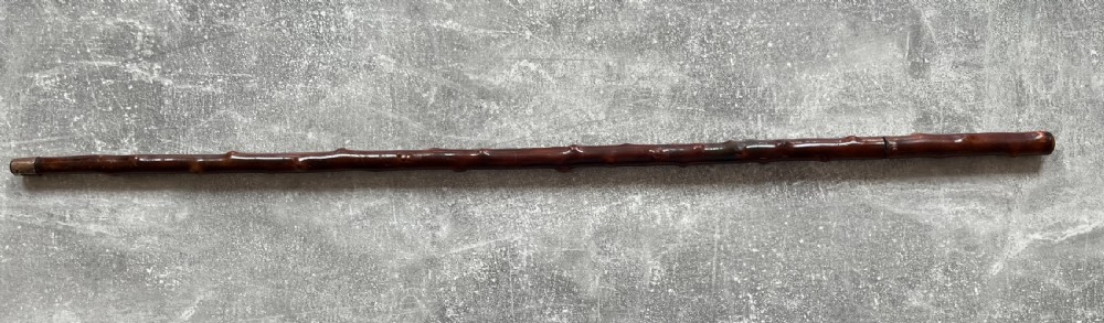 Briarwood Sword Cane Etched & Decorated Blade View II