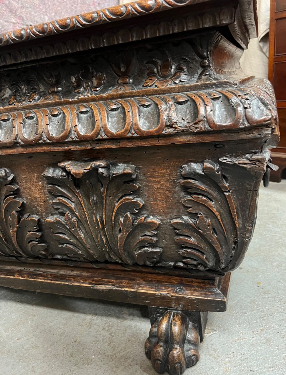 Rare Late 16th. / 17th. C. Very Large Armorial Walnut Cassone Coffer View III