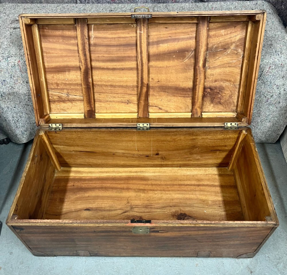 19th Century Camphor Wood Campaign Trunk View VIII