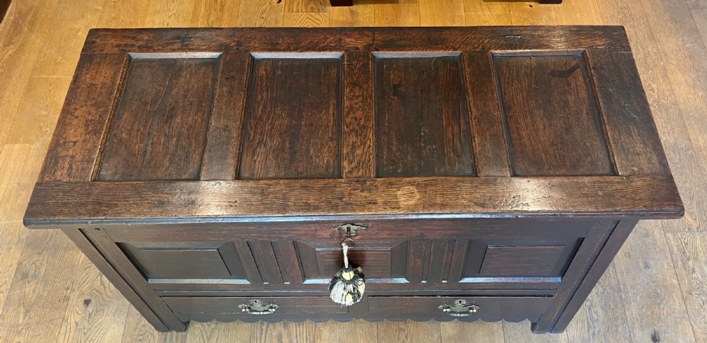 An eighteenth-century dark oak mule chest featuring a four-panel hinged lid, fielded panel front, and two lower drawers with brass drop handles. View II