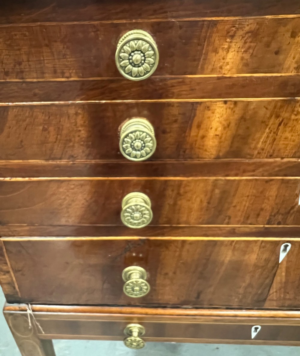 A Georgian mahogany collectors chest featuring five graduated drawers with brass rosette handles, resting on a stand with square tapered legs. View III