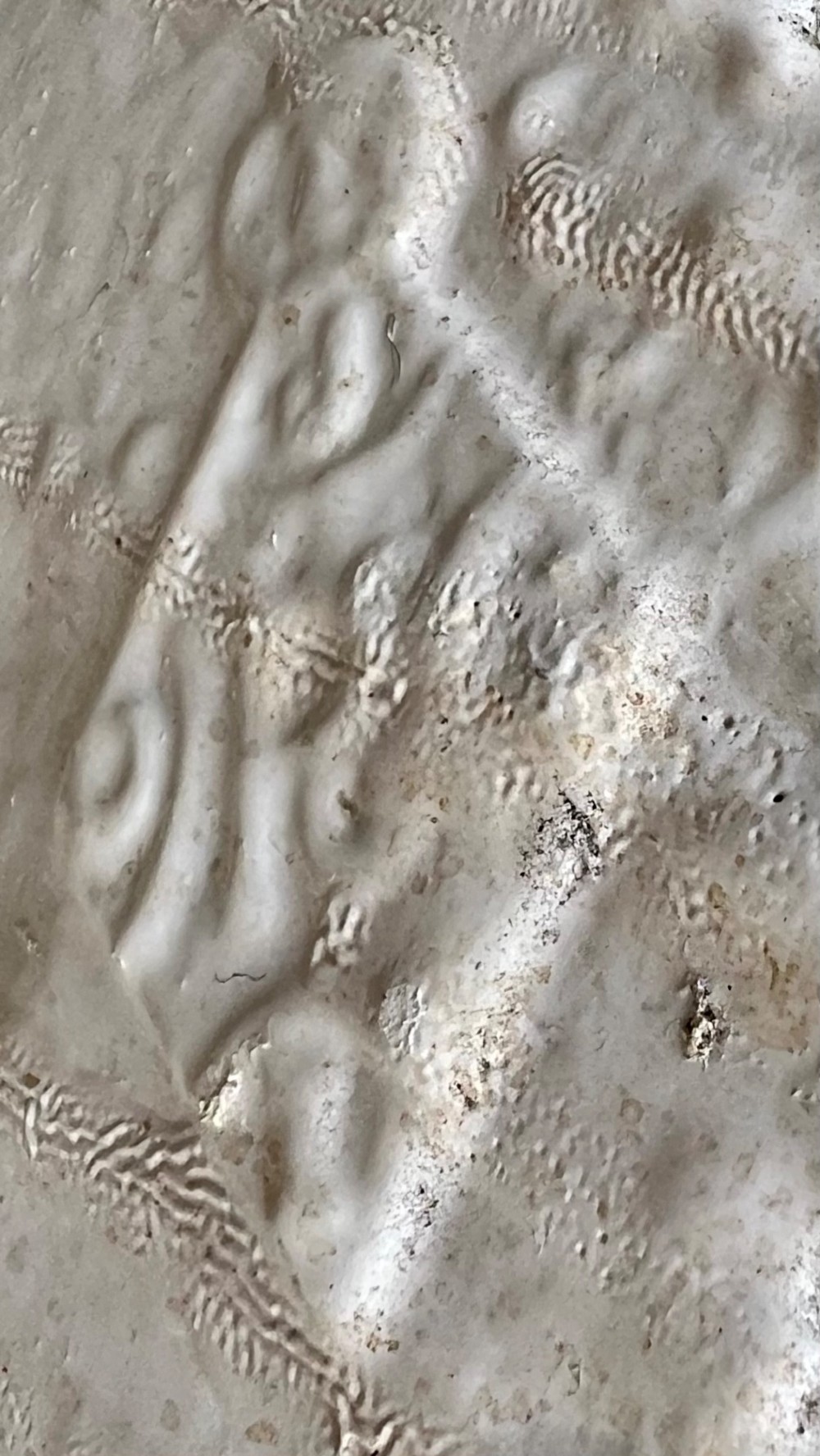 Alternate View