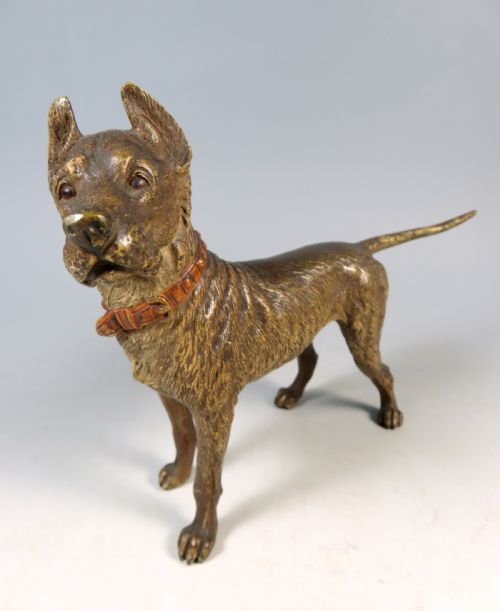 LARGE ANTIQUE AUSTRIAN VIENNA BRONZE COLD PAINTED GREAT DANE DOG - ADDITIONAL PHOTO 2