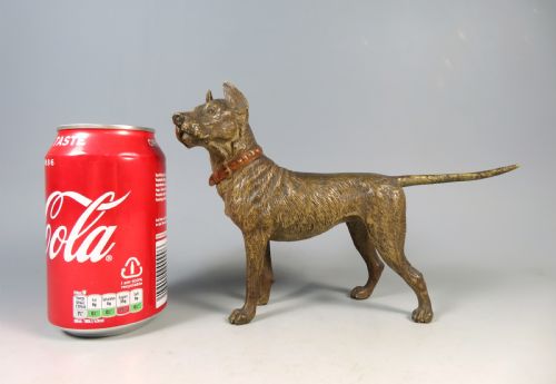 LARGE ANTIQUE AUSTRIAN VIENNA BRONZE COLD PAINTED GREAT DANE DOG - ADDITIONAL PHOTO 6