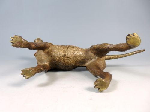 LARGE ANTIQUE AUSTRIAN VIENNA BRONZE COLD PAINTED GREAT DANE DOG - ADDITIONAL PHOTO 8